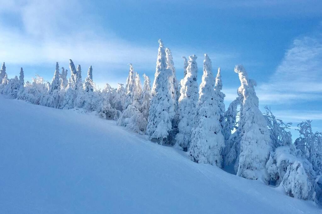 דירות מונט טרמבלאנט The Mountainside By Escapades Tremblant מראה חיצוני תמונה