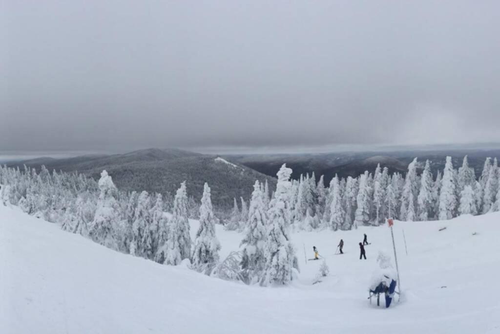 דירות מונט טרמבלאנט The Mountainside By Escapades Tremblant מראה חיצוני תמונה